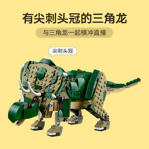 乐高LEGO 霸王龙LEGC31151 商品图6