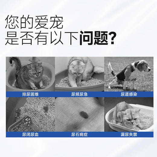 【第二件“半价”】泌尿片 利尿通猫咪狗狗泌尿系统养护片排尿困难尿路结石尿频尿血 200片/瓶 商品图7