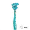 永生花材 | 黄金球蒂芙尼蓝 商品缩略图2