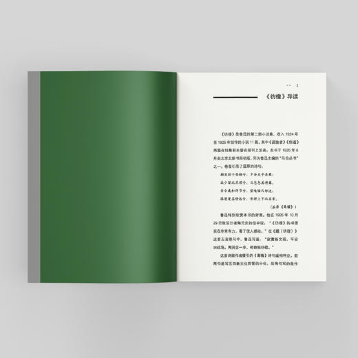 《少年读鲁迅》（全4册） 商品图9