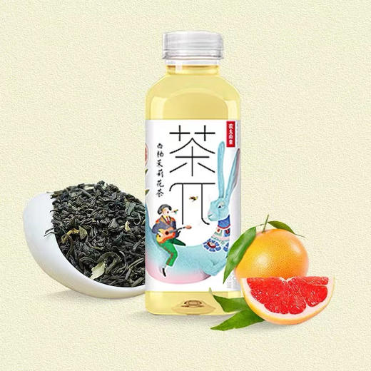 农夫山泉茶兀500ML茶饮料 商品图0