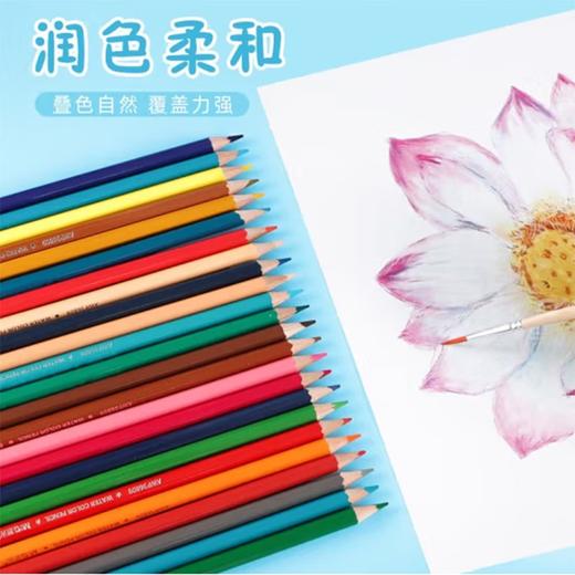 晨光水溶性彩铅AWP36810筒装24色 商品图2