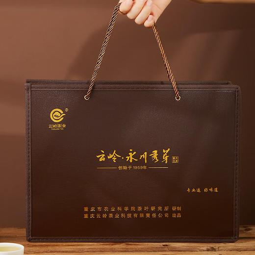 云岭茶业永川秀芽2024年新茶 明前绿茶(珍芽)茶叶礼盒装送礼207g 高档木质茶礼207g 商品图2