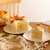 「升级版」柑橘奶油--无糖香橙啫喱动物奶油蛋糕【橙意满满 清爽低糖】 商品缩略图5