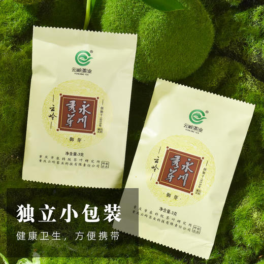 云岭茶业 永川秀芽2024年新茶茶叶礼盒装明前绿茶春茶 （御芽）礼盒装送礼 180g 商品图3