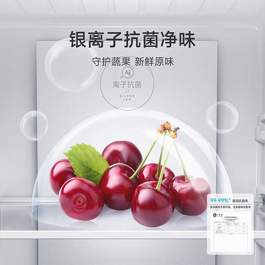 小米 米家冰箱精巧装 三门256L冰羽白 商品图4