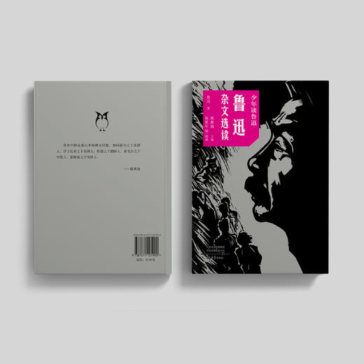 《少年读鲁迅》（全4册） 商品图12