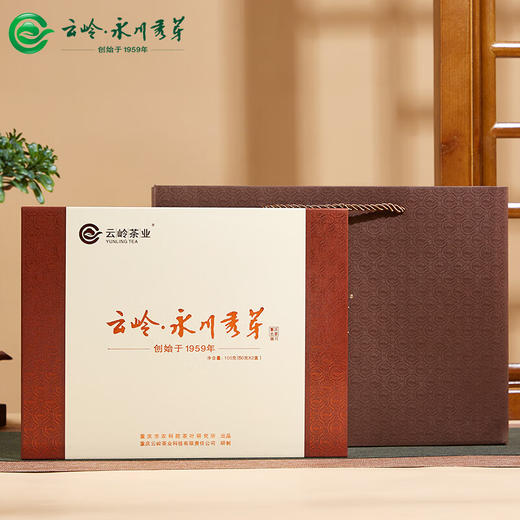 云岭茶业永川秀芽2024新茶极川明前绿茶高档茶叶礼盒装重庆特产送礼客户 极川茶礼100g 商品图4