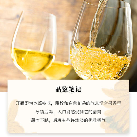 单宁汇 DNH甜白葡萄酒莫奈之夏德国雷司令原瓶进口艺术联名10.5度白葡萄酒 红色 莫奈之夏六瓶菜箱装 商品图3