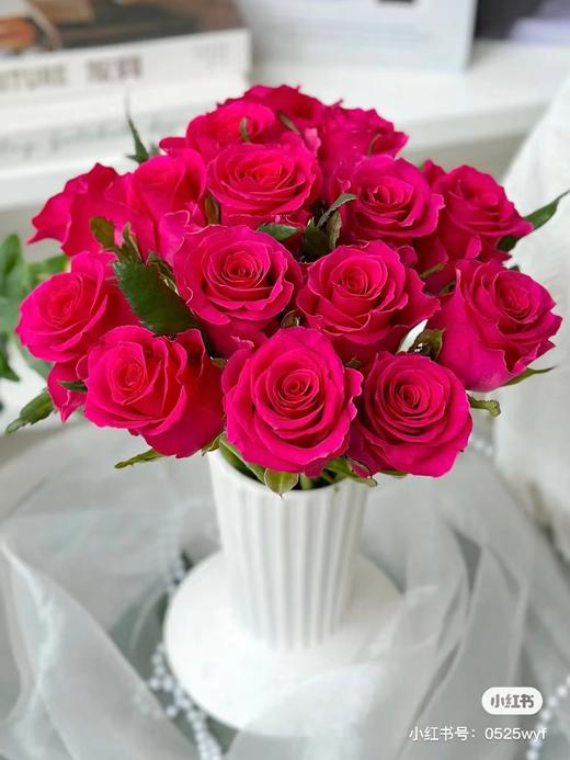 弗洛伊德高级玫瑰8支 商品图3