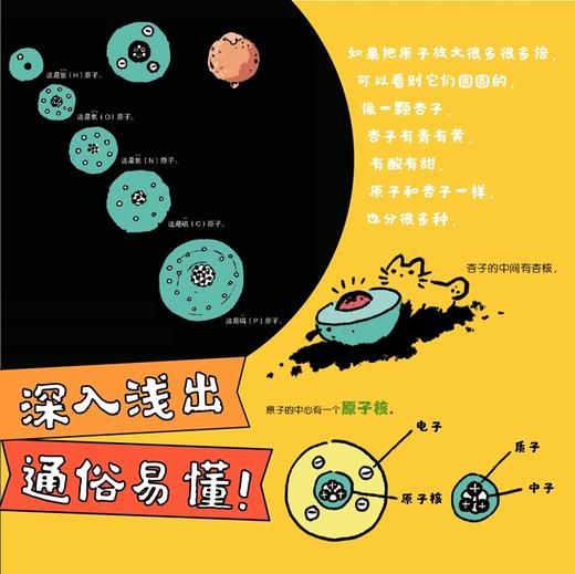 “原子，元素和我们”科学启蒙双绘本 商品图4