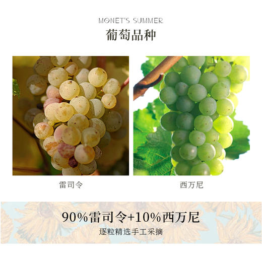 单宁汇 DNH甜白葡萄酒莫奈之夏德国雷司令原瓶进口艺术联名10.5度白葡萄酒 红色 莫奈之夏六瓶菜箱装 商品图1