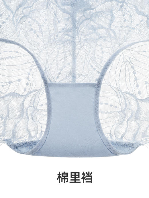 【郁金香】遐性感全蕾丝内裤女纯棉裆夏季速干透明无痕中腰平角裤 商品图4