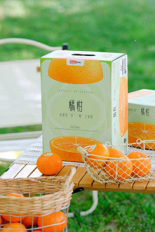 白富美橘柑 浓浓香甜的柑橘香 礼盒装 商品图6