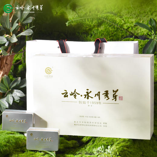 云岭茶业 永川秀芽2024年新茶茶叶礼盒装明前绿茶春茶 （御芽）礼盒装送礼 180g 商品图0