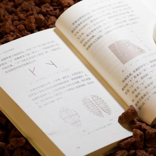 《汉字再发现：从旧识到新知》 商品图6