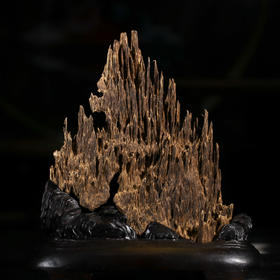 AN0530-1-G1.8  达拉干九分沉原材料摆件 129.88g