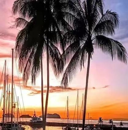 【沙巴亚庇】CABANA红树林+萤火虫+氛围感拉满海边下午茶+沙滩日落海鲜烧烤营火晚会 商品图1