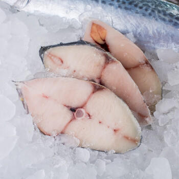 至鲜冻马鲛鱼片400g2-3片超大号鲅鱼片马友鱼吕四海捕海鲜冷冻 商品图3