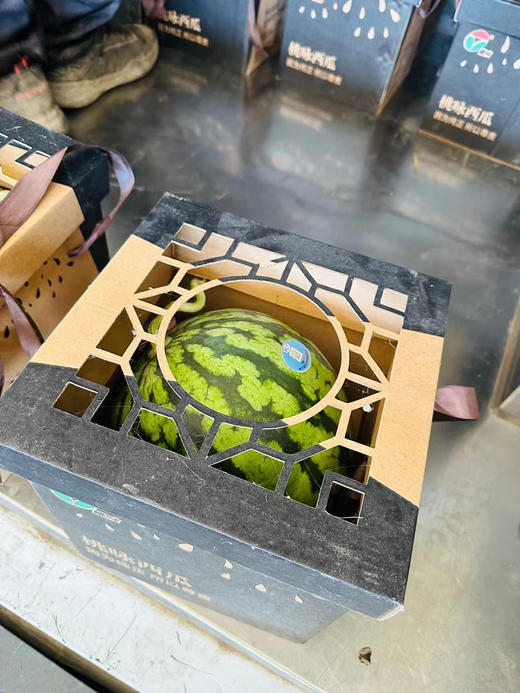 上海南汇8424西瓜金奖桃咏 商品图6