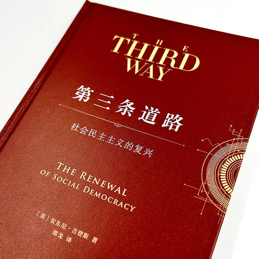 第三条道路：社会民主主义的复兴 商品图3