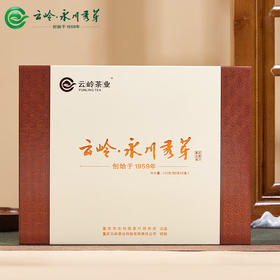 云岭茶业永川秀芽2024新茶极川明前绿茶高档茶叶礼盒装重庆特产送礼客户 极川茶礼100g