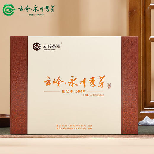 云岭茶业永川秀芽2024新茶极川明前绿茶高档茶叶礼盒装重庆特产送礼客户 极川茶礼100g 商品图0