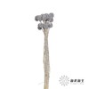永生花材 | 黄金球灰色 商品缩略图2
