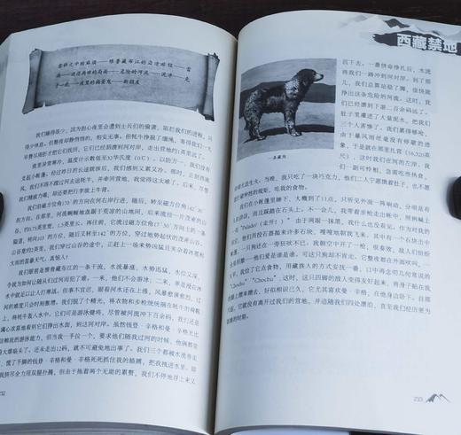 《西藏禁地：一百二十年前英国探险家的西藏行记》，32开平装，[英] A.亨利·萨维奇·兰道尔著，金城出版社2018年一版一印，336页，定价58，售价29元。品相9成。 商品图13