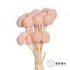 永生花材 | 黄金球樱花粉 商品缩略图0