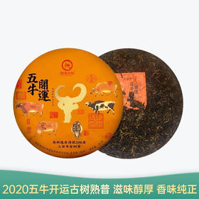 【会员日直播】五牛开运 2020年古树熟普 洪海古树 357g/饼 买一送一 买三送四
