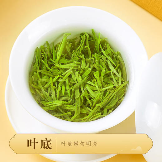 云岭茶业 明前绿茶永川秀芽2024新茶高端(特川)茶叶礼盒装重庆特产送礼 金卡礼盒200g 商品图8