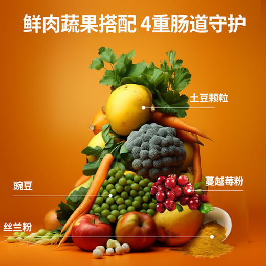 纽粹臣萃享缤纷系列 生骨肉冻干主粮1.5kg 20%冻干添加 猫粮犬粮 鲜肉果蔬配方 线下款 不吃包退！ 商品图4