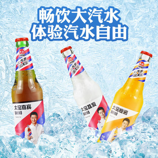 大窑  嘉宾橙诺荔枝味汽水饮料520ml/瓶装 商品图2