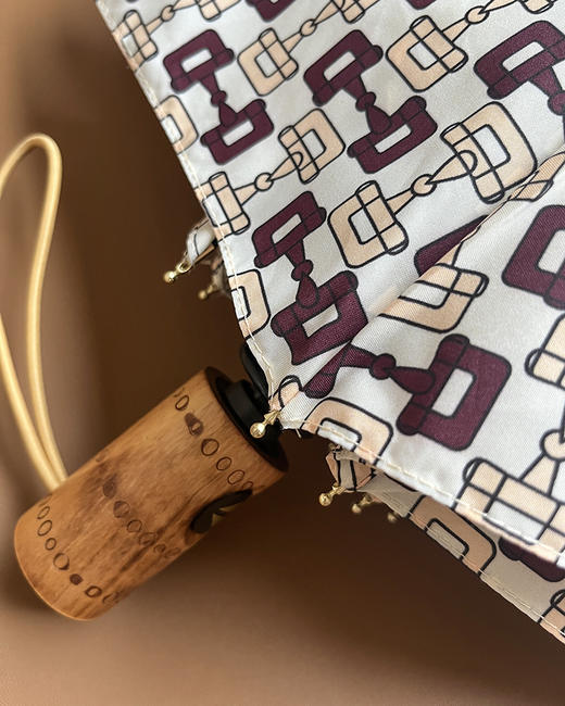 现货 THS 6.1-无 古家 马衔扣雨伞 长柄 短柄可选 CU1188 商品图6