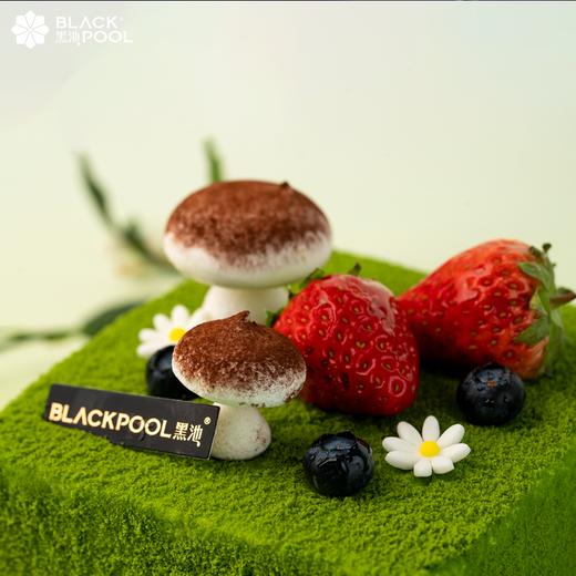 小森林（限深圳配送） | 黑池 商品图3