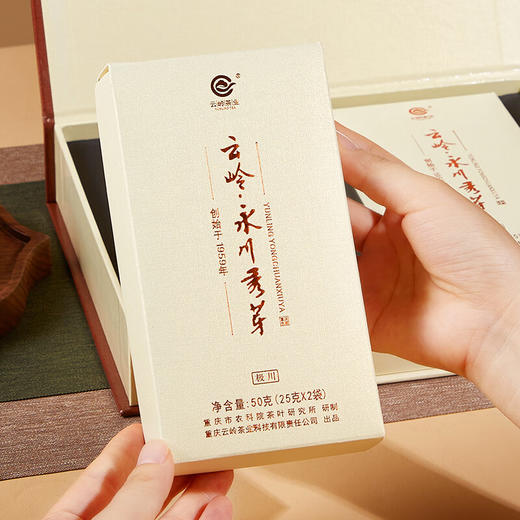 云岭茶业永川秀芽2024新茶极川明前绿茶高档茶叶礼盒装重庆特产送礼客户 极川茶礼100g 商品图3