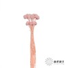 永生花材 | 黄金球粉紫 商品缩略图2