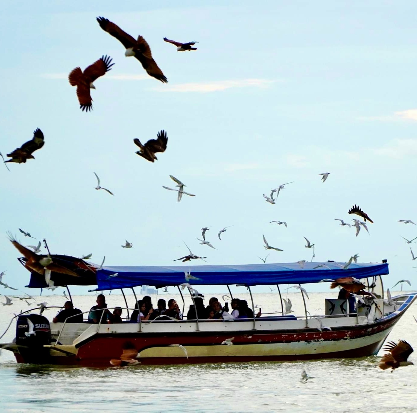 【吉隆坡私家团】全日游瓜拉雪兰莪|天空之镜+老鹰+萤火虫+蓝眼 泪+鱼米之乡适耕荘一日游