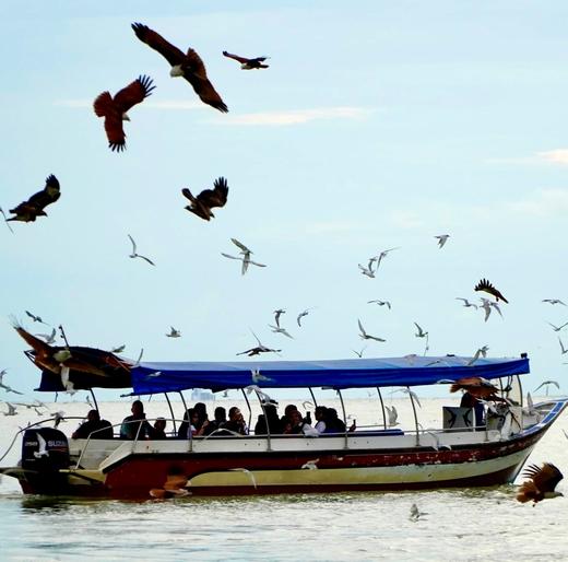 【吉隆坡私家团】全日游瓜拉雪兰莪|天空之镜+老鹰+萤火虫+蓝眼 泪+鱼米之乡适耕荘一日游 商品图0