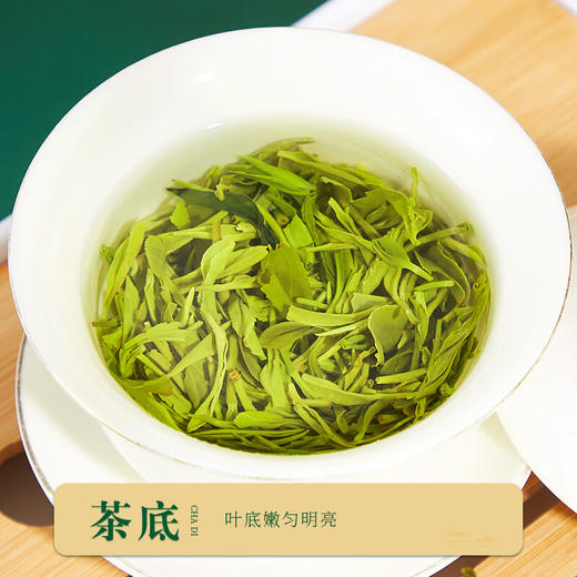 云岭茶业永川秀芽2024新茶茶叶 高端绿茶茶叶礼盒装一川重庆特产送客户 金色礼盒200g 商品图9
