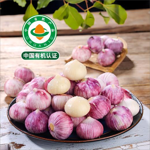 云南有机紫皮独头大蒜 2026年鲜蒜果肉饱满蒜香浓郁凉拌红烧500g起 商品图1