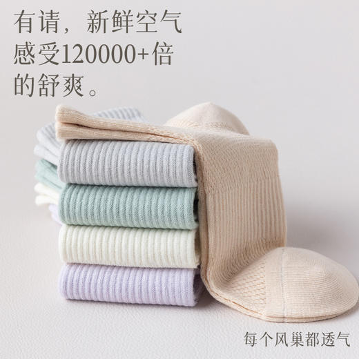 纯棉诸暨袜子女夏季薄款网眼女袜吸汗防臭女士中筒袜诸暨袜业_HLY 商品图3