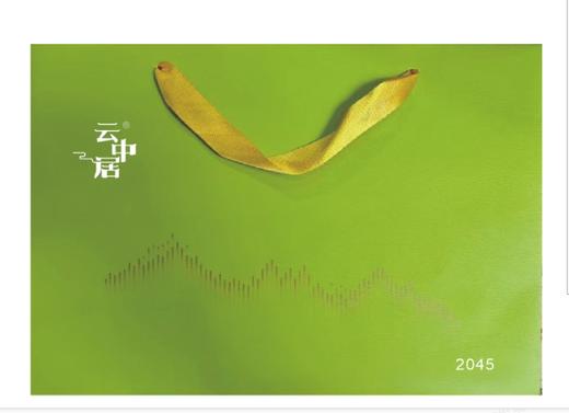 手提袋-2045（永川秀芽152克） 商品图0