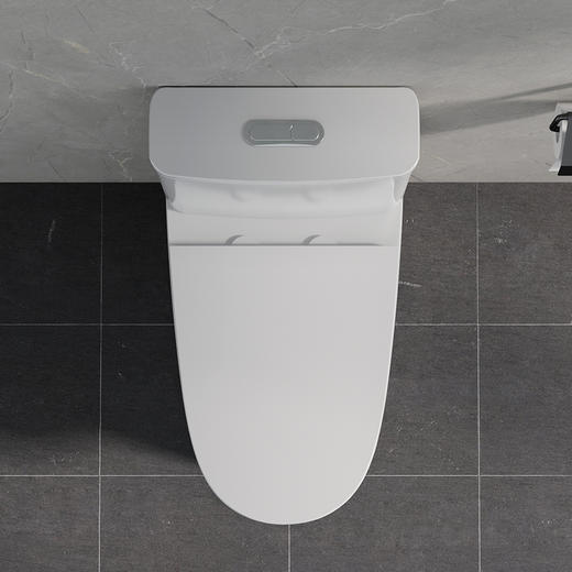 帝王洁具抽水马桶虹吸式小户型家用卫生间卫浴陶瓷静音节水坐便器TT009 商品图3