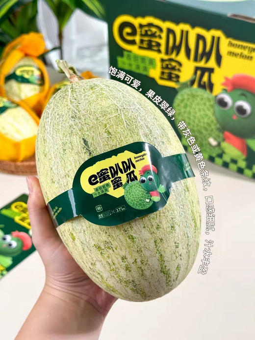 新疆蜜瓜，口感软脆相结合的一款蜜瓜，心软皮脆！约2.5-3斤/个 商品图3