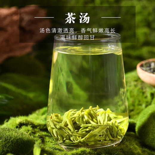 云岭茶业 永川秀芽2024年新茶茶叶礼盒装明前绿茶春茶 （御芽）礼盒装送礼 180g 商品图5