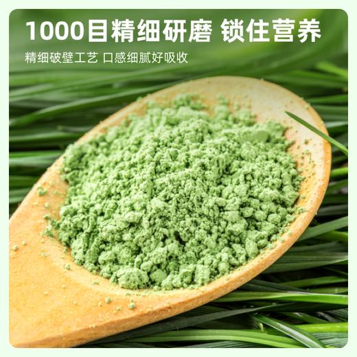 【1000目精细研磨】草牧里 大麦若叶青汁 3g*15条/盒 口感细腻好吸收 商品图5