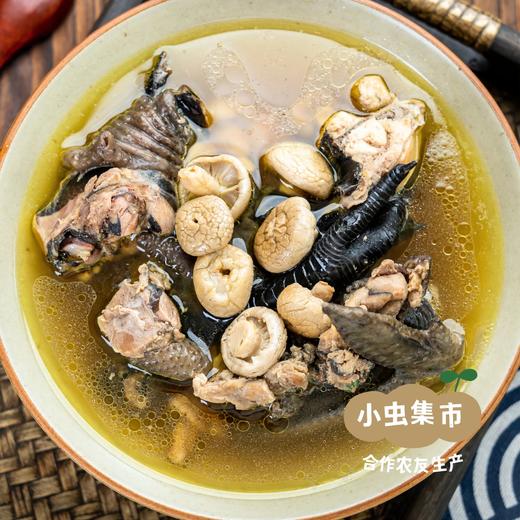 沃野生态溜达鸡 现有五黑母鸡  |  合作农友生产，产自陕西咸阳，生产者：郑力行 *【公平贸易农人定价】 商品图2