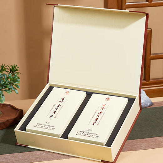 云岭茶业永川秀芽2024新茶极川明前绿茶高档茶叶礼盒装重庆特产送礼客户 极川茶礼100g 商品图2